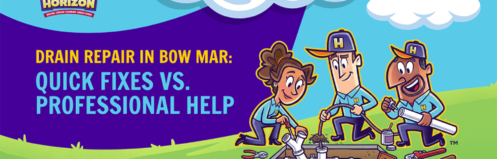 Drain Repair in Bow Mar: Quick Fixes vs. Professional Help