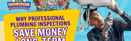 Why Professional Plumbing Inspections Save Money Long-Term
